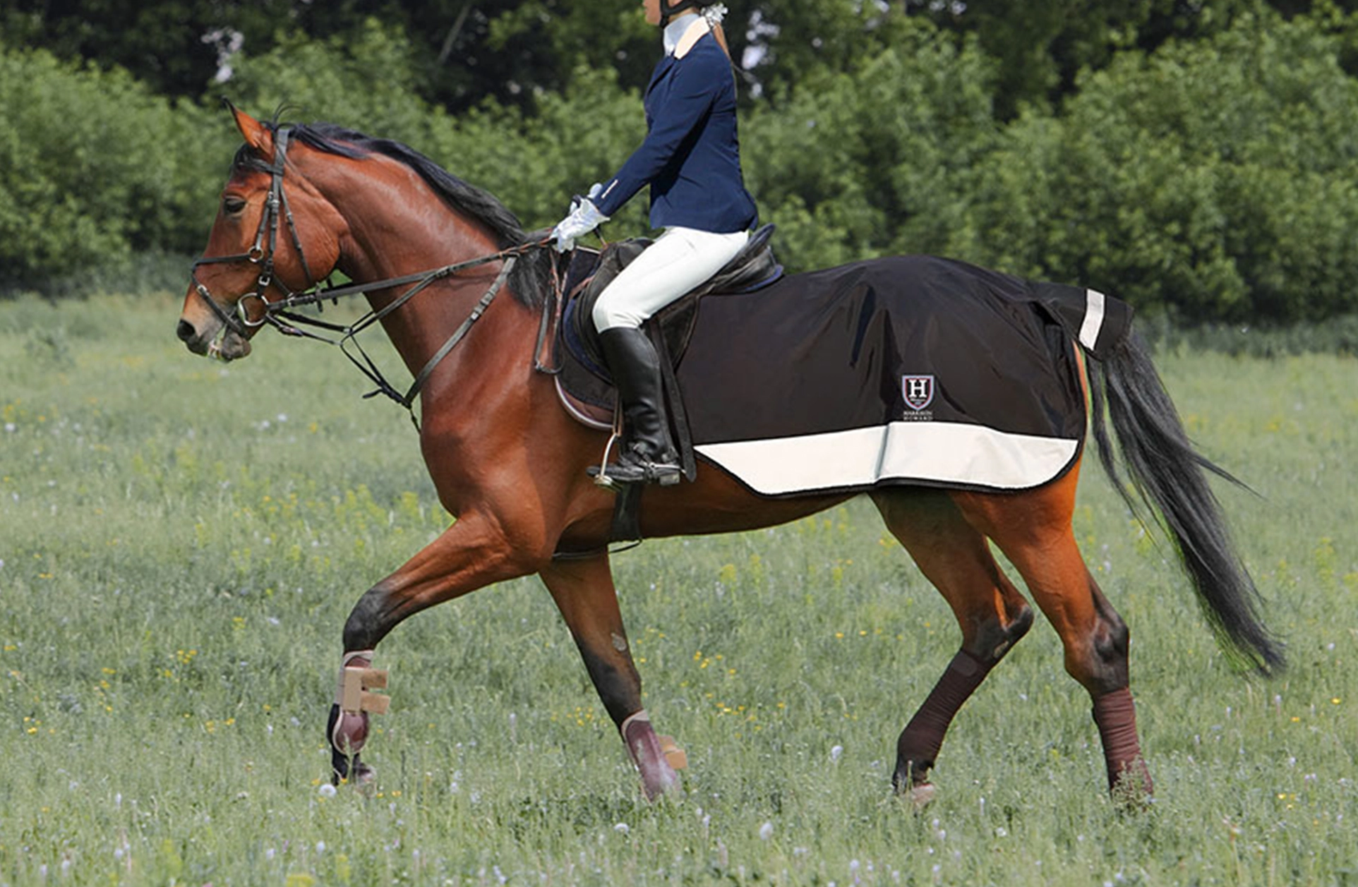 图片描述（利于SEO）