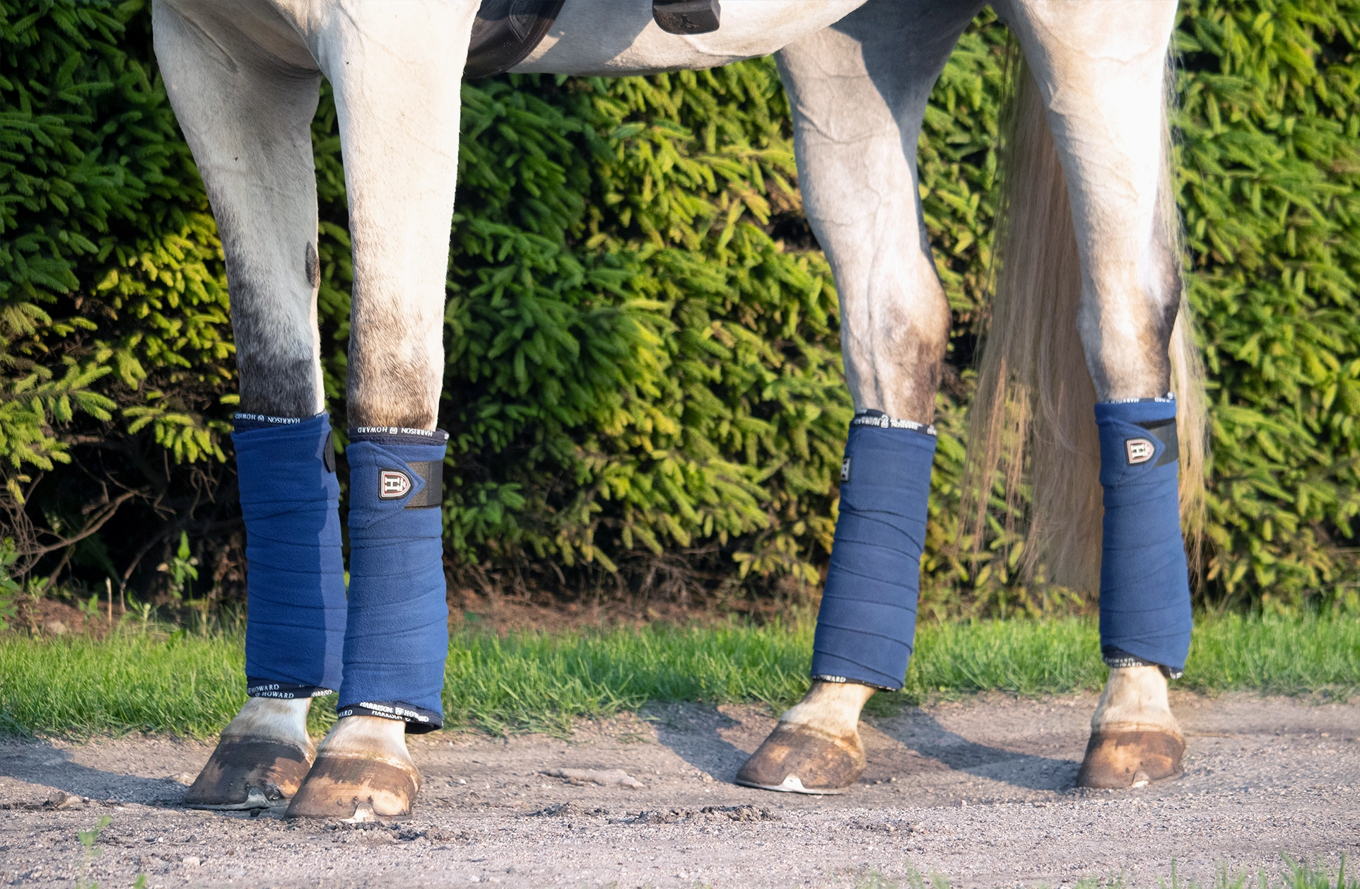 图片描述（利于SEO）