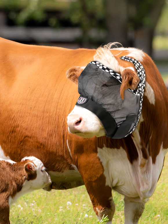 For-Livestock-Cattle-Fly-Mask-011